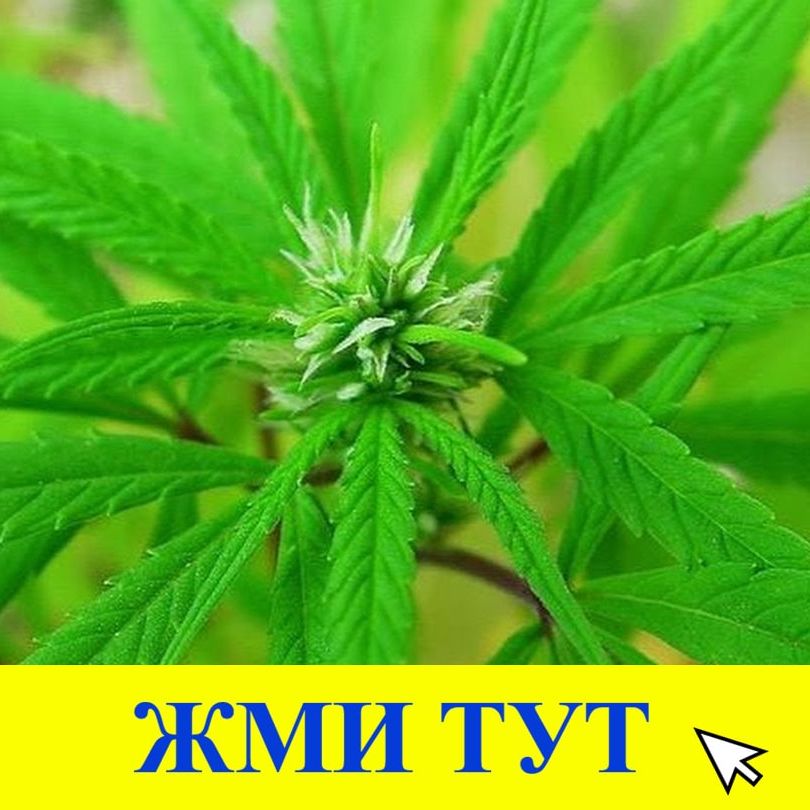 Купить наркотики в Бугульме